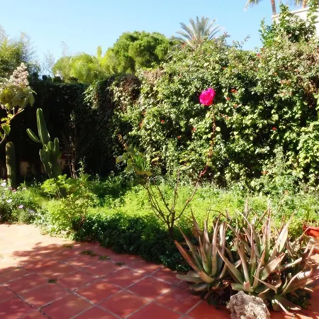 Del Duque, Gandia - Holiday home
